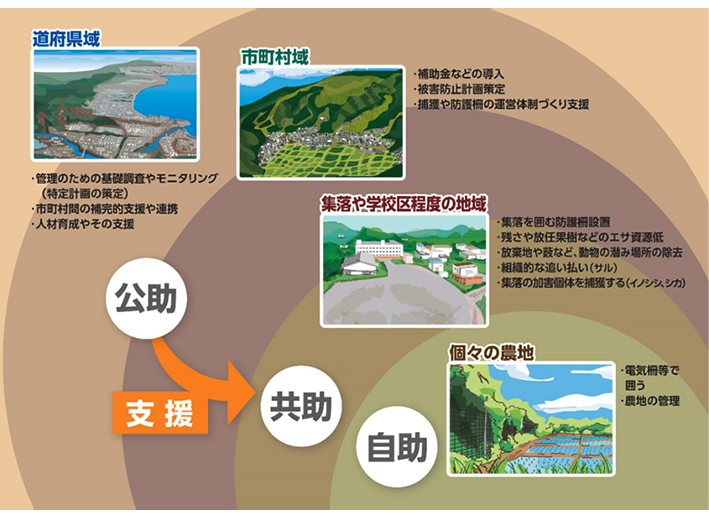 Tokushu_zu02